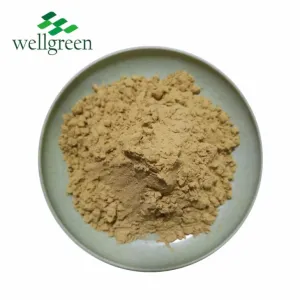 Klorogensyrepulver