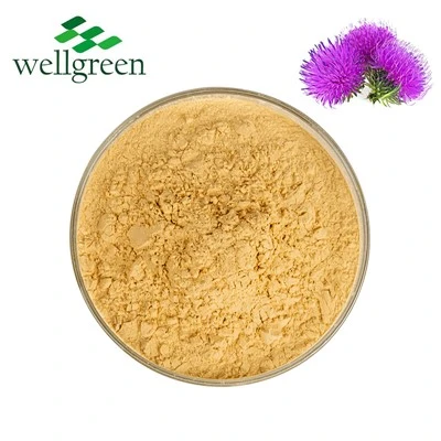 Liposomal Milk Thistle-ekstrakt